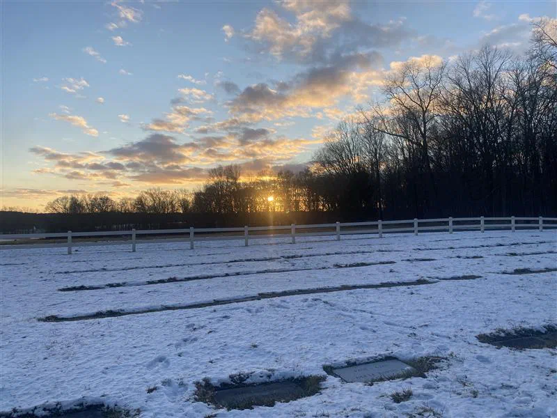 2024-12-08-sunset.jpg